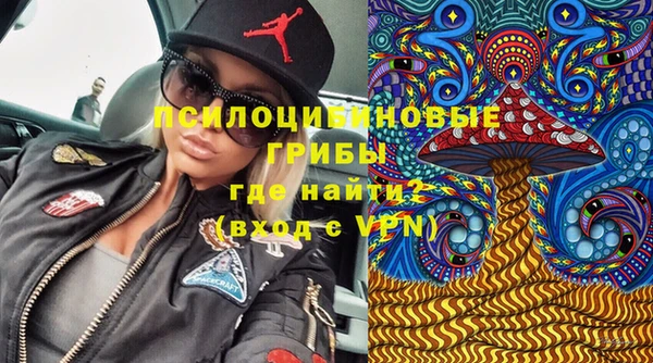 тгк Арсеньев