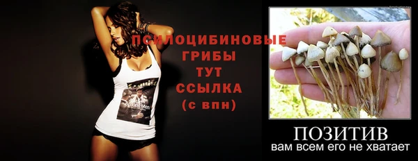 тгк Арсеньев