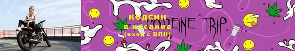 тгк Арсеньев