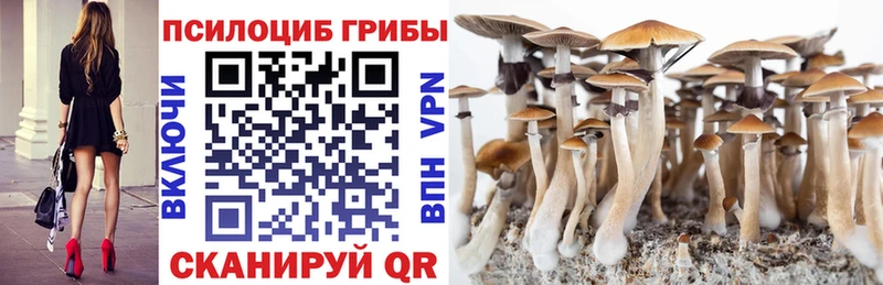 Галлюциногенные грибы Psilocybine cubensis  сколько стоит  Артёмовский 